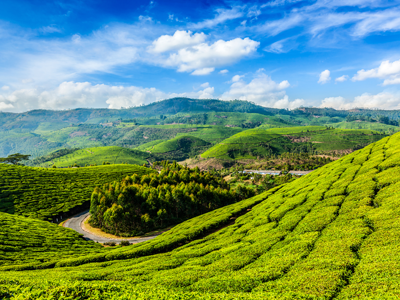 Paradise Kerala