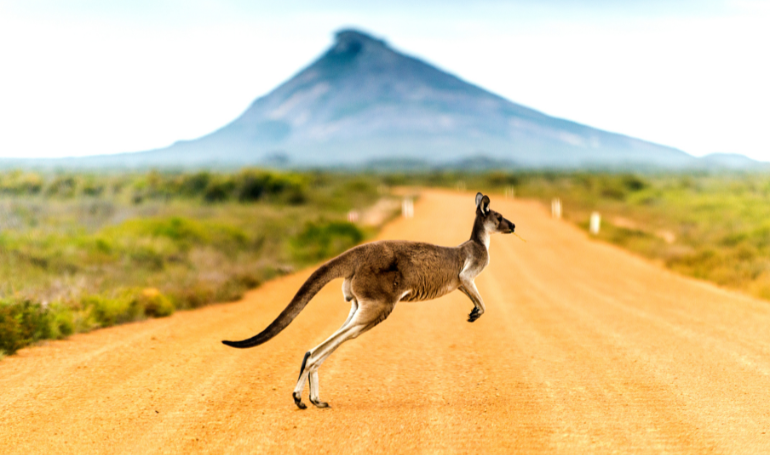 6 Tips to Simplify Your Next Trips to Australia